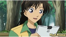 Detective Conan: High School Girl Detective Sonoko Suzuki's Case File