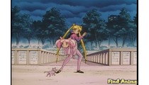 Sailor Moon Special Movies
