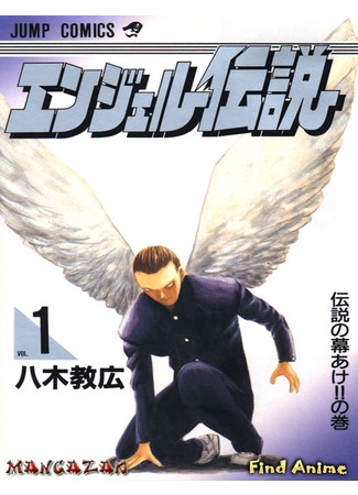 аниме Легенда об Ангеле (Angel Legend: Angel Densetsu) 09.05.12