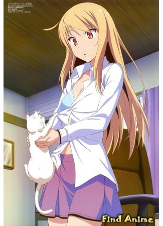 аниме The Pet Girl of Sakurasou (Кошечка из Сакурасо: Sakurasou no Pet na Kanojo) 04.11.12