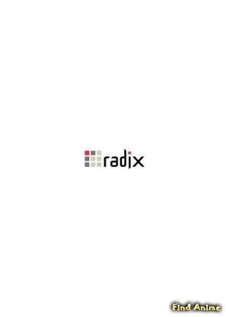 Студия Radix 09.02.14
