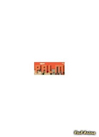 Студия Palm Studio 01.03.14