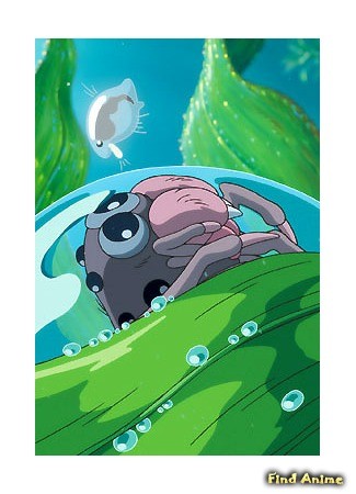 аниме Водяной паук Мон-мон (Water Spider Monmon: Mizugumo Monmon) 21.06.14