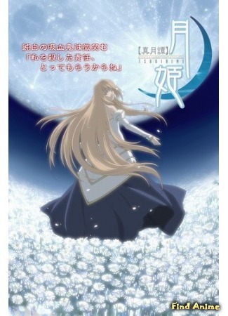 аниме Повесть о лунной принцессе (Shingetsutan Tsukihime) 24.04.15