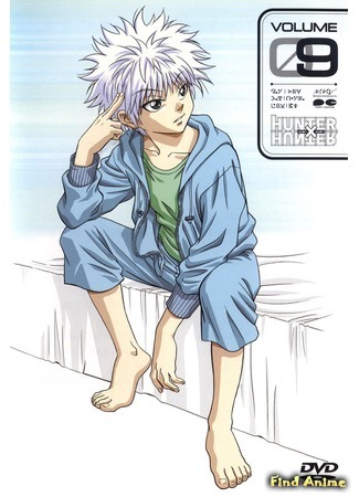 hunter x hunter 1999 art  Аниме, Охотники, Манга