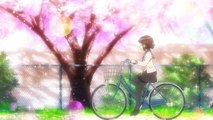 Девичий велоклуб Минами Камакуры