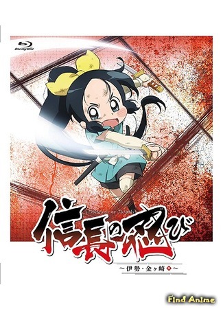 аниме Ninja Girl &amp; Samurai Master 2nd (Ниндзя Нобунаги [ТВ-2]: Nobunaga no Shinobi: Ise Kanegasaki-hen) 01.12.18