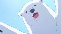 A Polar Bear In Love