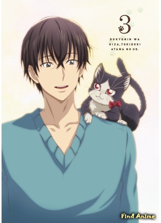 аниме My Roommate Is a Cat (Домашний питомец, иногда сидящий на моей голове: Doukyonin wa Hiza, Tokidoki, Atama no Ue.) 28.04.19