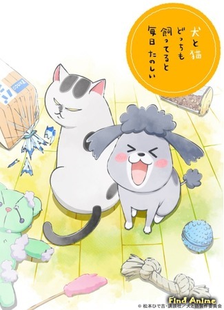 аниме With a Dog AND a Cat, Every Day is Fun (Весёлые дни с котом и собакой: Inu to Neko Docchi mo Katteru to Mainichi Tanoshii) 09.05.20