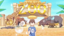 Годы, когда я открыл зоопарк