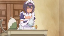 My Recently Hired Maid is Suspicious