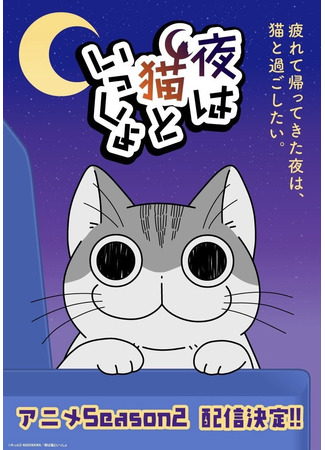 аниме Nights with a Cat 2 (Вечера с кошкой 2: Yoru wa Neko to Issho Season 2) 11.01.23