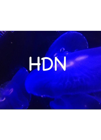 Переводчик HDN Studio 14.02.23