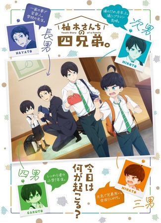 аниме The Four Yuzuki Brothers (Четверо братьев Юзуки: Yuzuki-san Chi no Yonkyoudai) 03.07.23