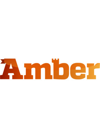 Переводчик Amber Studio 01.03.24