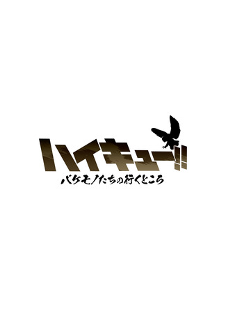 аниме Волейбол!! Путь монстров (Haikyuu!! Where Monsters Go: Haikyuu!! Bakemono-tachi no Iku Tokoro) 21.06.25